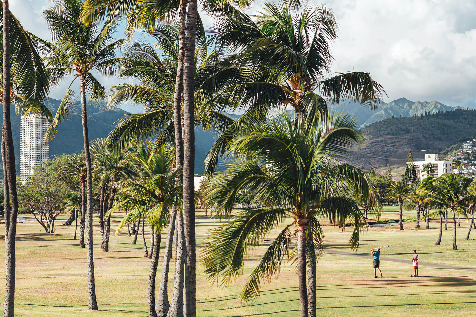 Palm Trees on golf course