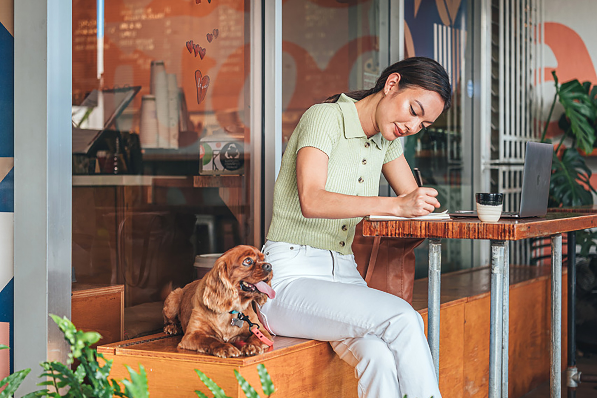 Unleashing Joy at Kuilei Place - Kuilei Place